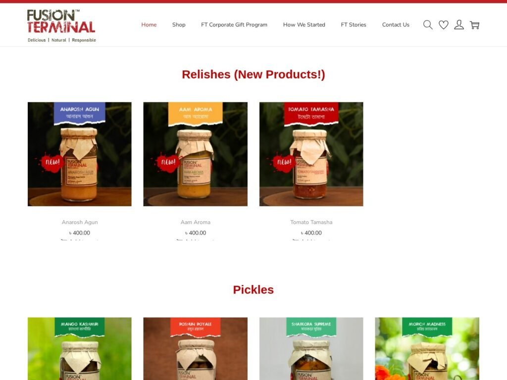 Fusion Terminal website homepage, a MIVAQ client project