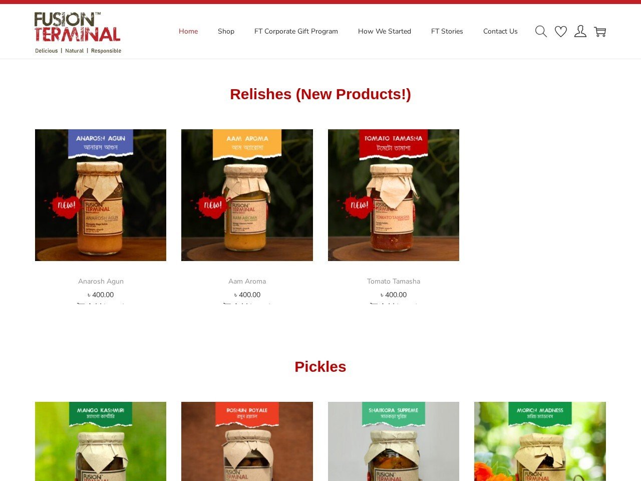Fusion Terminal website homepage, a MIVAQ client project